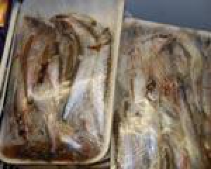 Купить Мойву В Мурманске Цена